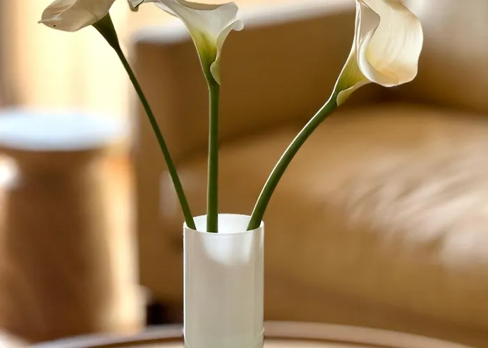 Διαμέρισμα Sanfrancesco41 *